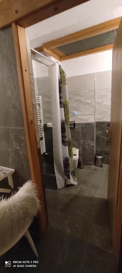 Apartman Malina 弗济内 外观 照片